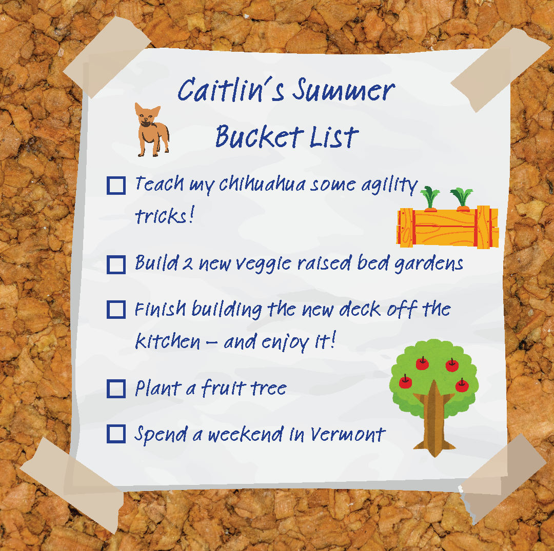 Caitlin’s Summer Bucket List